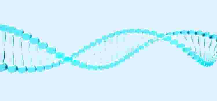 DNAの模型